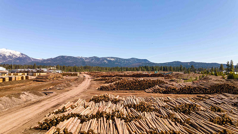 Forest Management And Lumber Sales Pyramid Mountain Lumber