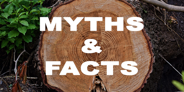 Myths And Facts About Forestry Management